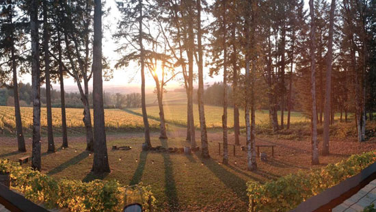 featured winery view from featured winery