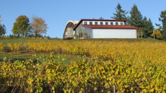 view from featured winery