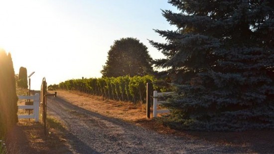 featured winery view from featured winery