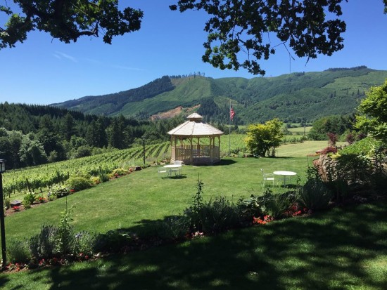 featured winery view from featured winery